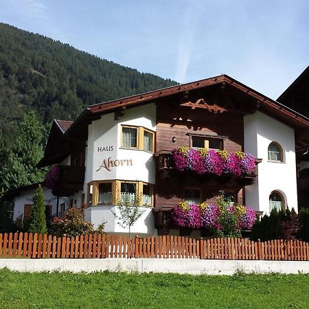 Ferienhaus Ahorn Neustift im Stubaital Exterior photo